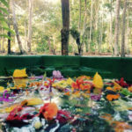 Flower Bath, Caya Shobo Ayahuasca Healing Retreat Centre