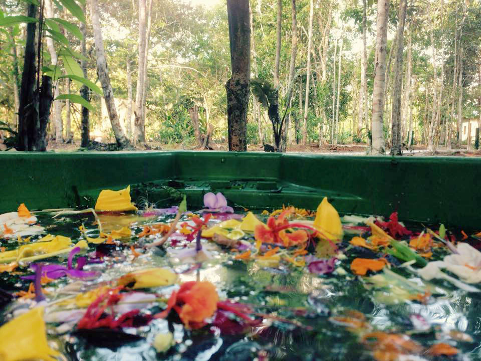 Flower Bath, Caya Shobo Ayahuasca Healing Retreat Centre