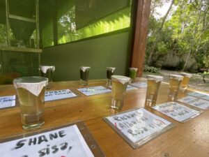 Shipibo Master Plant Dieta shots at Caya Shobo Peru