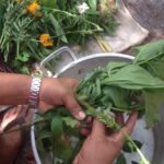 Preparation-of-Plant-Vapor-Bath